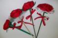 FLOR